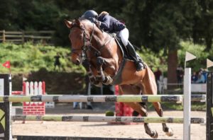Bruin paard springt over hindernis tijdens springwedstrijd
