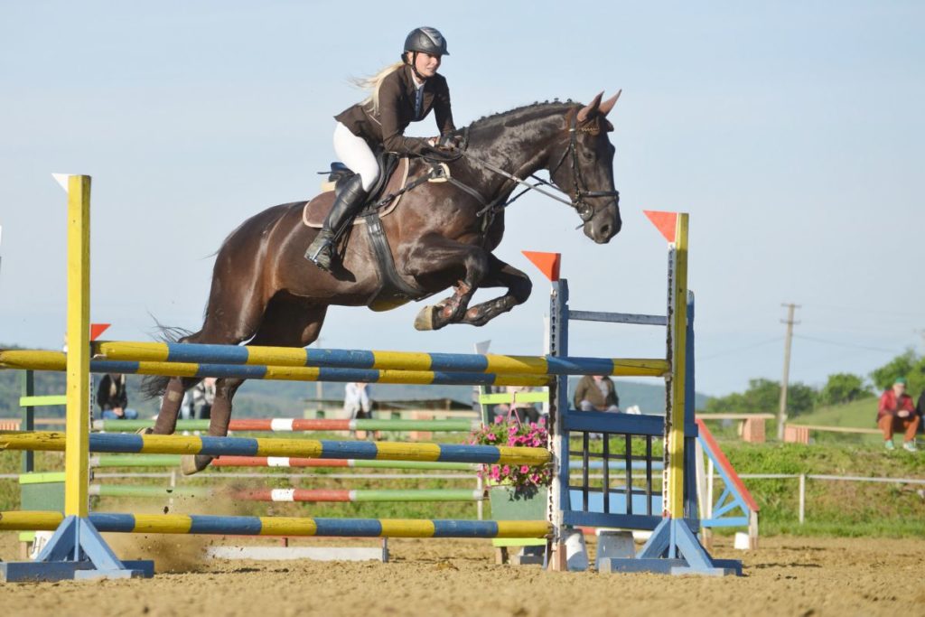 Paard springt over hindernis tijdens springwedstrijd