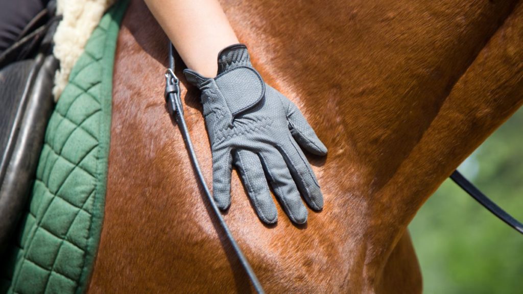 Paardrijhandschoen op paard closeup